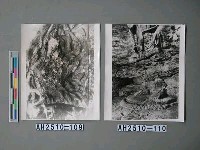 藏品(大同雲崗石窟)的圖片